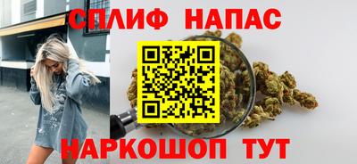 мяу мяу мука Гай