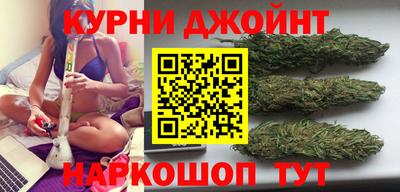 мяу мяу мука Гай
