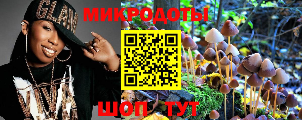 Псилоцибиновые грибы мицелий Губкинский