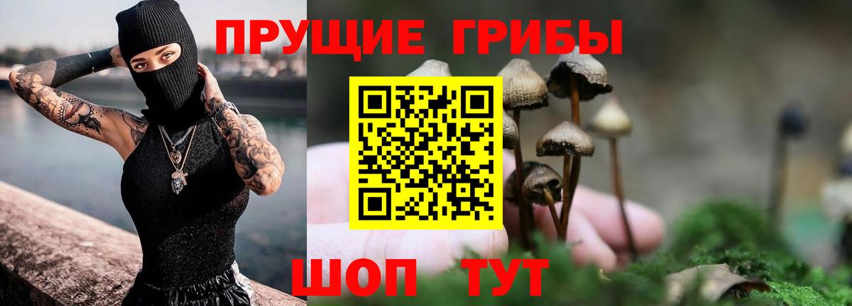 Псилоцибиновые грибы GOLDEN TEACHER  Вход с VPN  Губкинский 